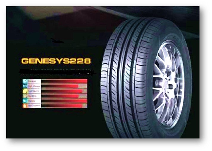 Boto CAVALETTI S228 225/60R16