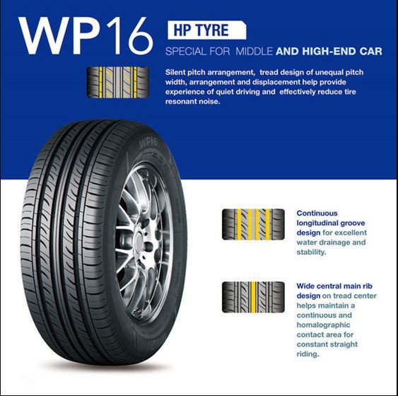WP16 A/S 225/60R17
