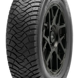 Falken Winterpeak F-ICE 1